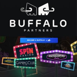 Buffalo Partners