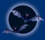 Halloween bats